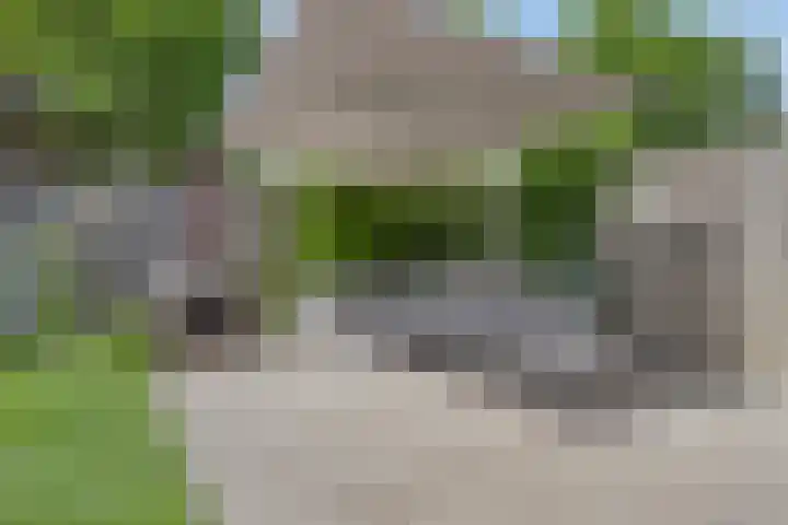 Hostalaan 24 Waalre thumbnail 45