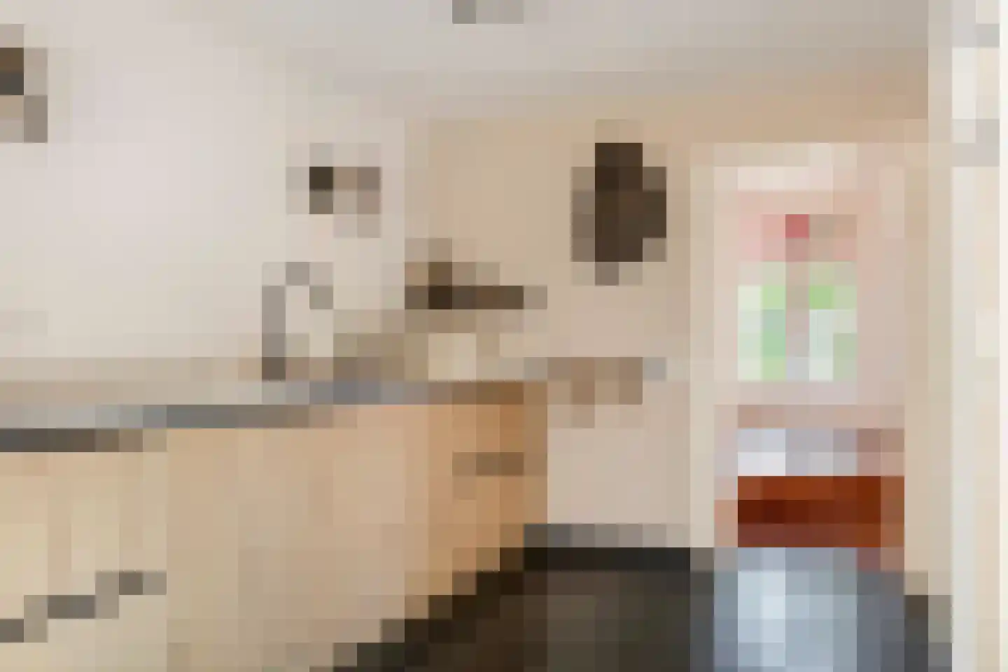 Hosterd 16 Puiflijk thumbnail 10