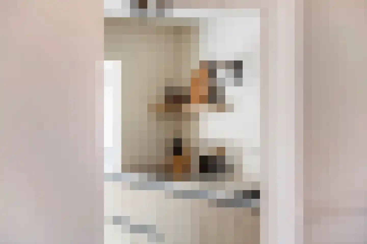 Hosterd 16 Puiflijk thumbnail 11