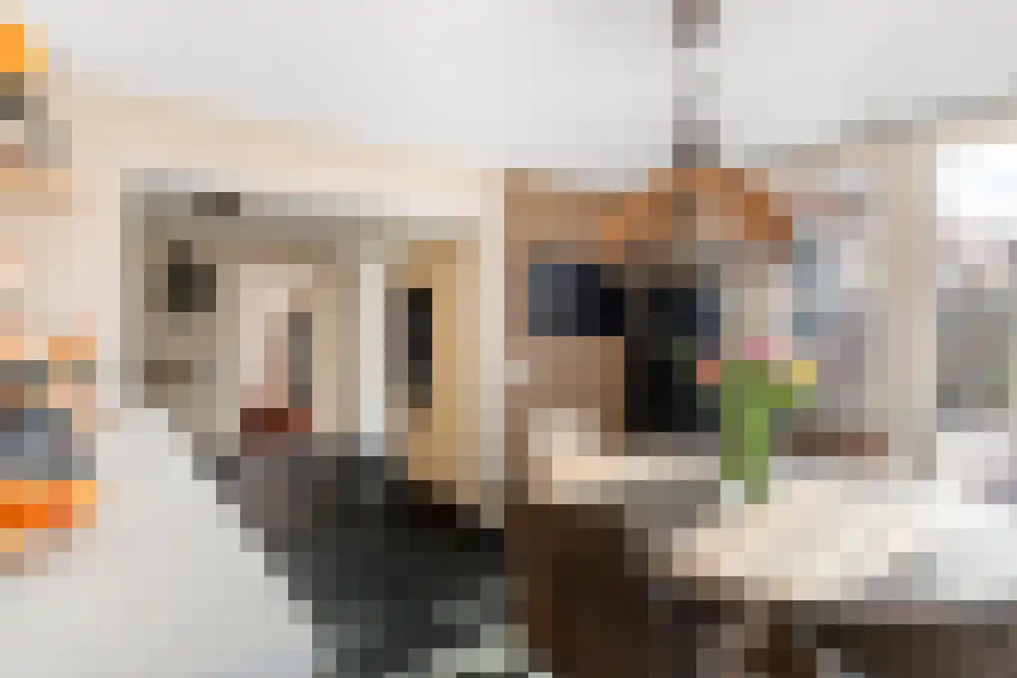 Hosterd 16 Puiflijk thumbnail 12