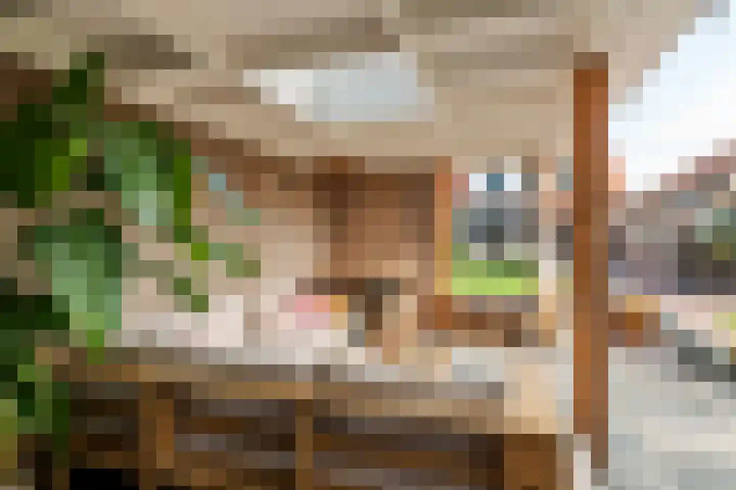 Hosterd 16 Puiflijk thumbnail 47