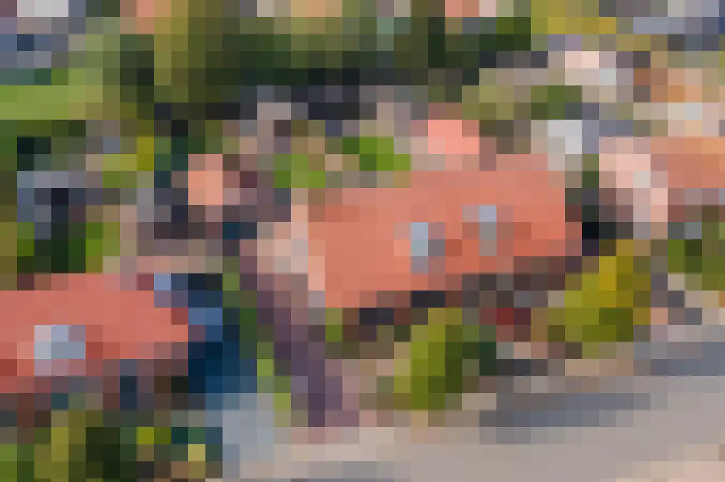 Hosterd 16 Puiflijk thumbnail 58