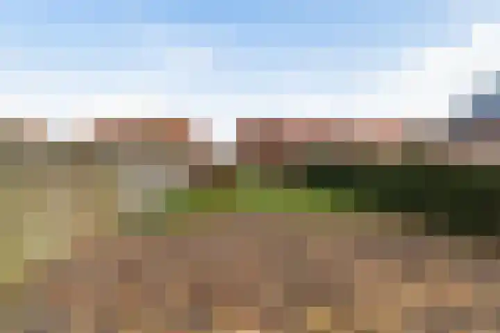 Hosterd 30 Puiflijk thumbnail 20