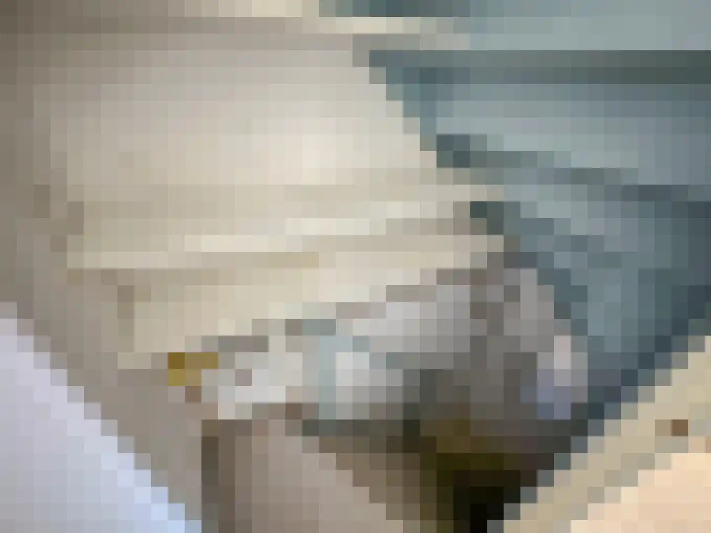 Hosterd 41 Puiflijk thumbnail 10
