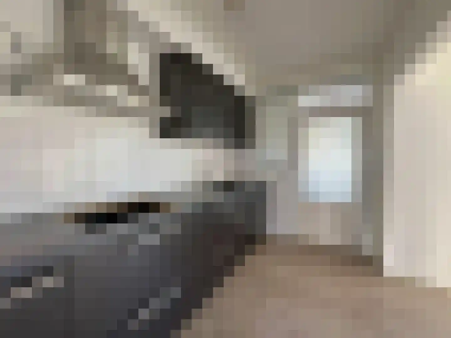 Hosterd 41 Puiflijk thumbnail 11