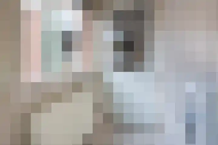 Hosterd 42 Puiflijk thumbnail 14