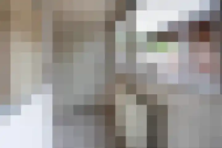 Hosterd 42 Puiflijk thumbnail 15