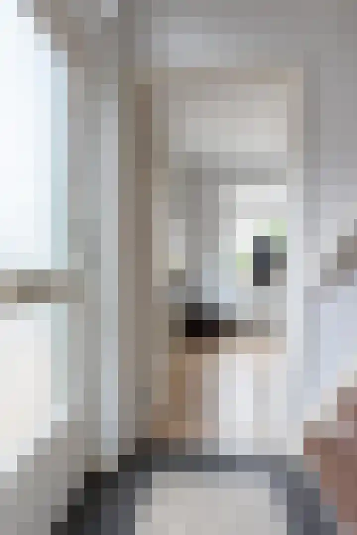 Hosterd 42 Puiflijk thumbnail 16