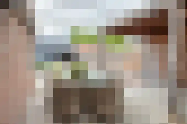 Hosterd 42 Puiflijk thumbnail 27