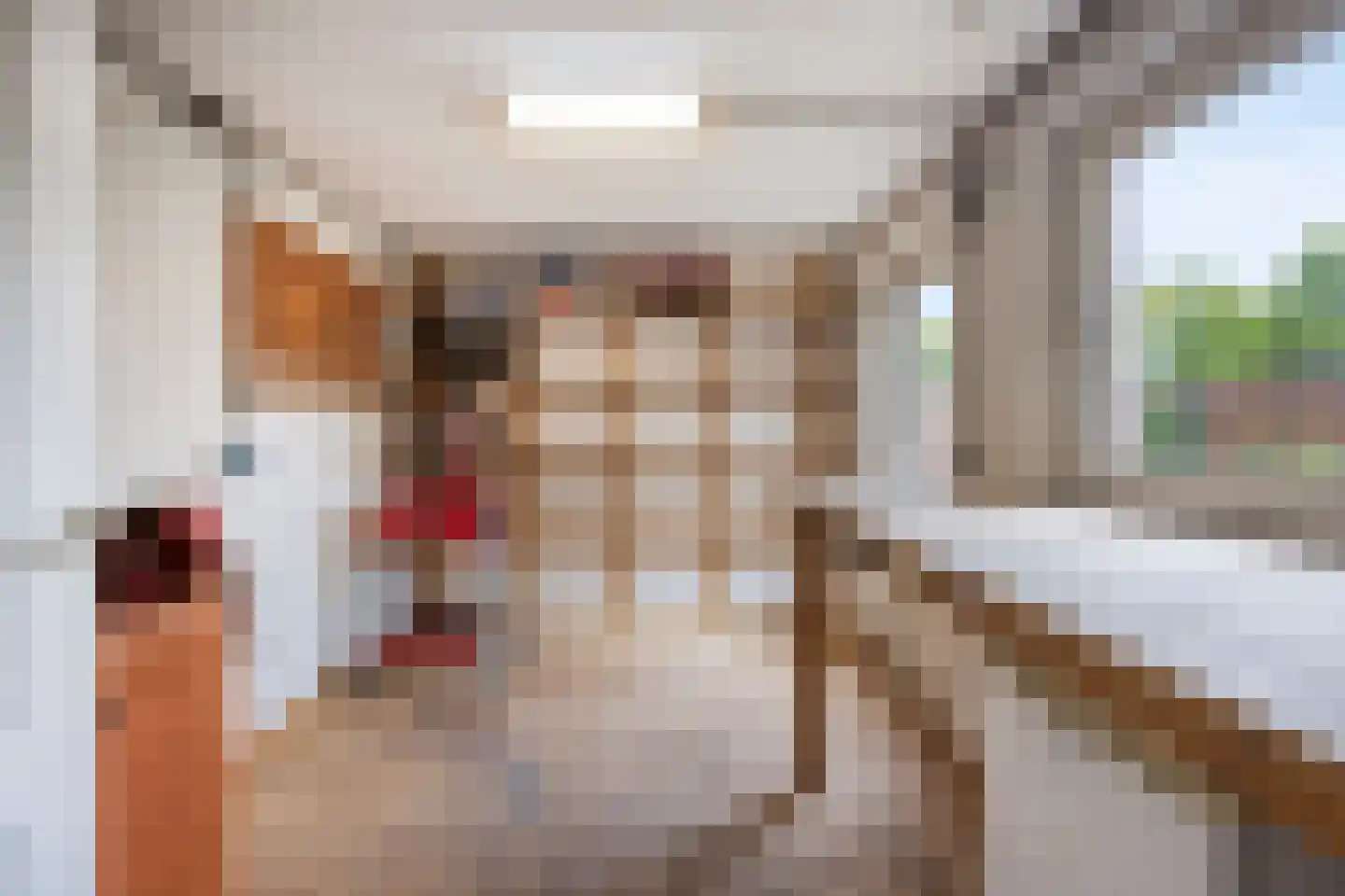 Hosterd 60 Puiflijk thumbnail 20