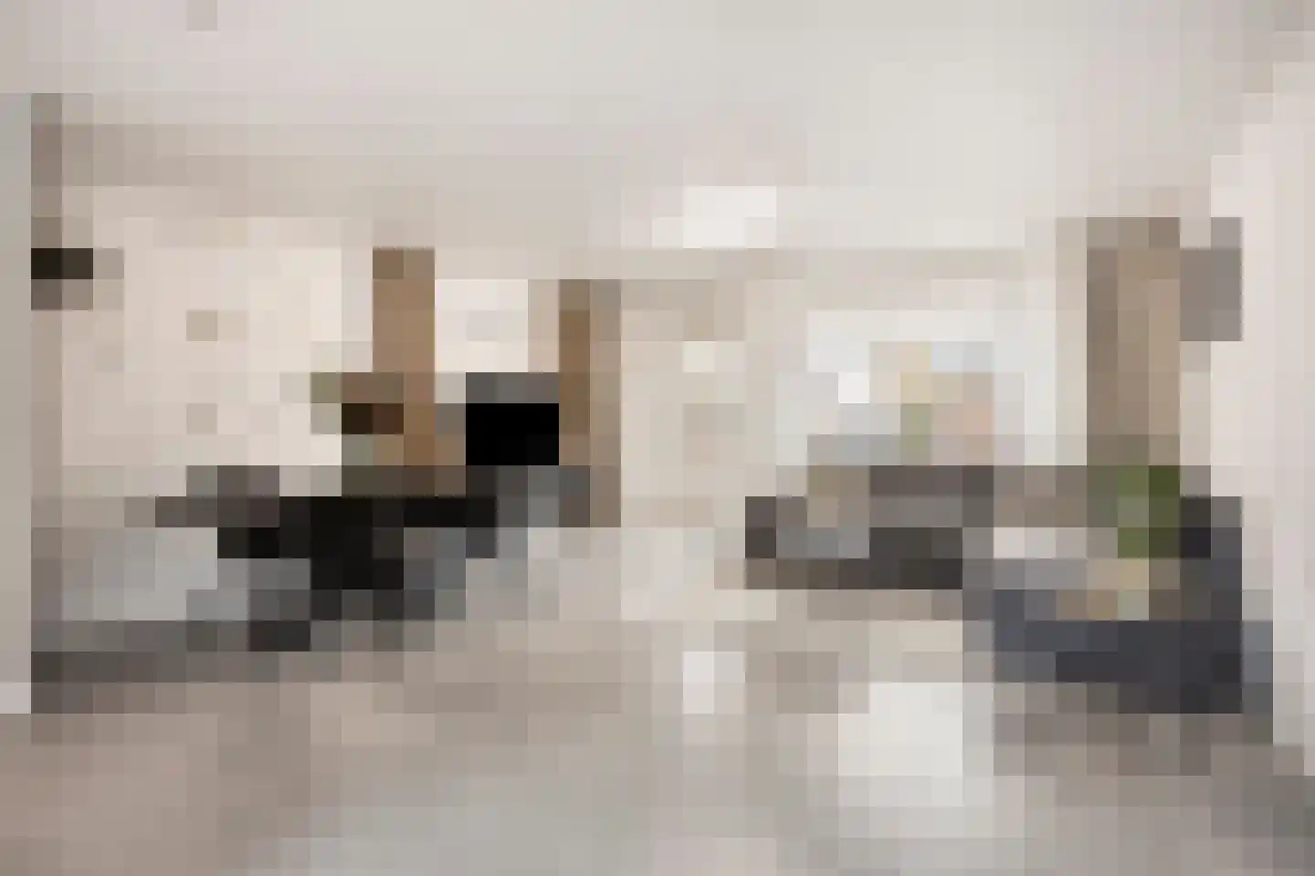 Hosterd 60 Puiflijk thumbnail 5