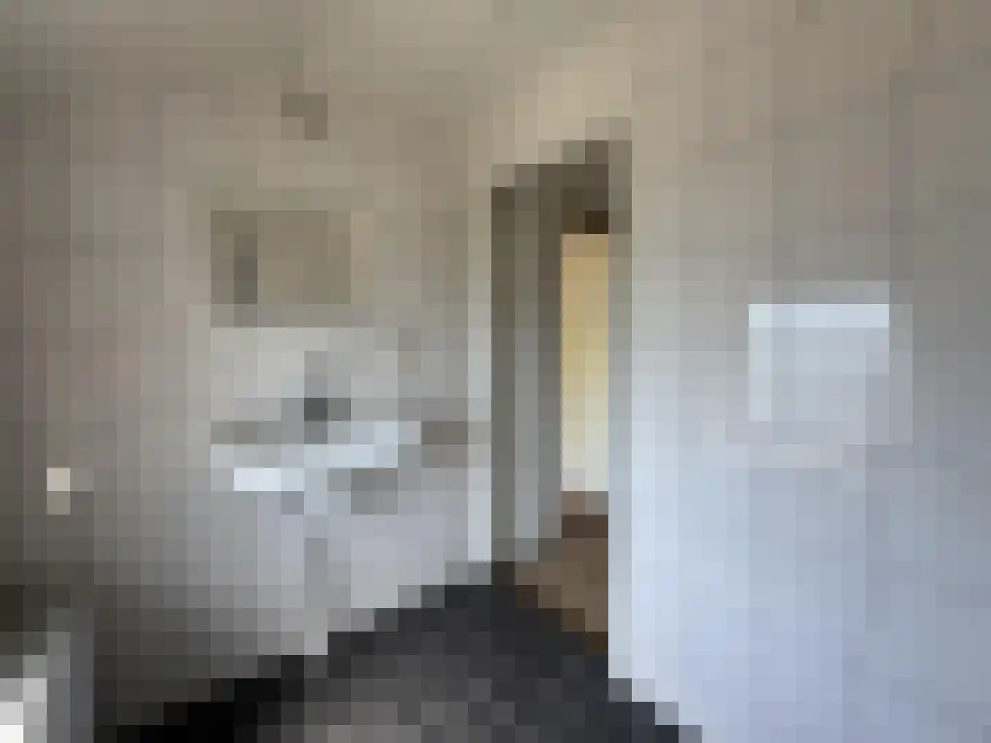 Hosterd 61 Puiflijk thumbnail 18