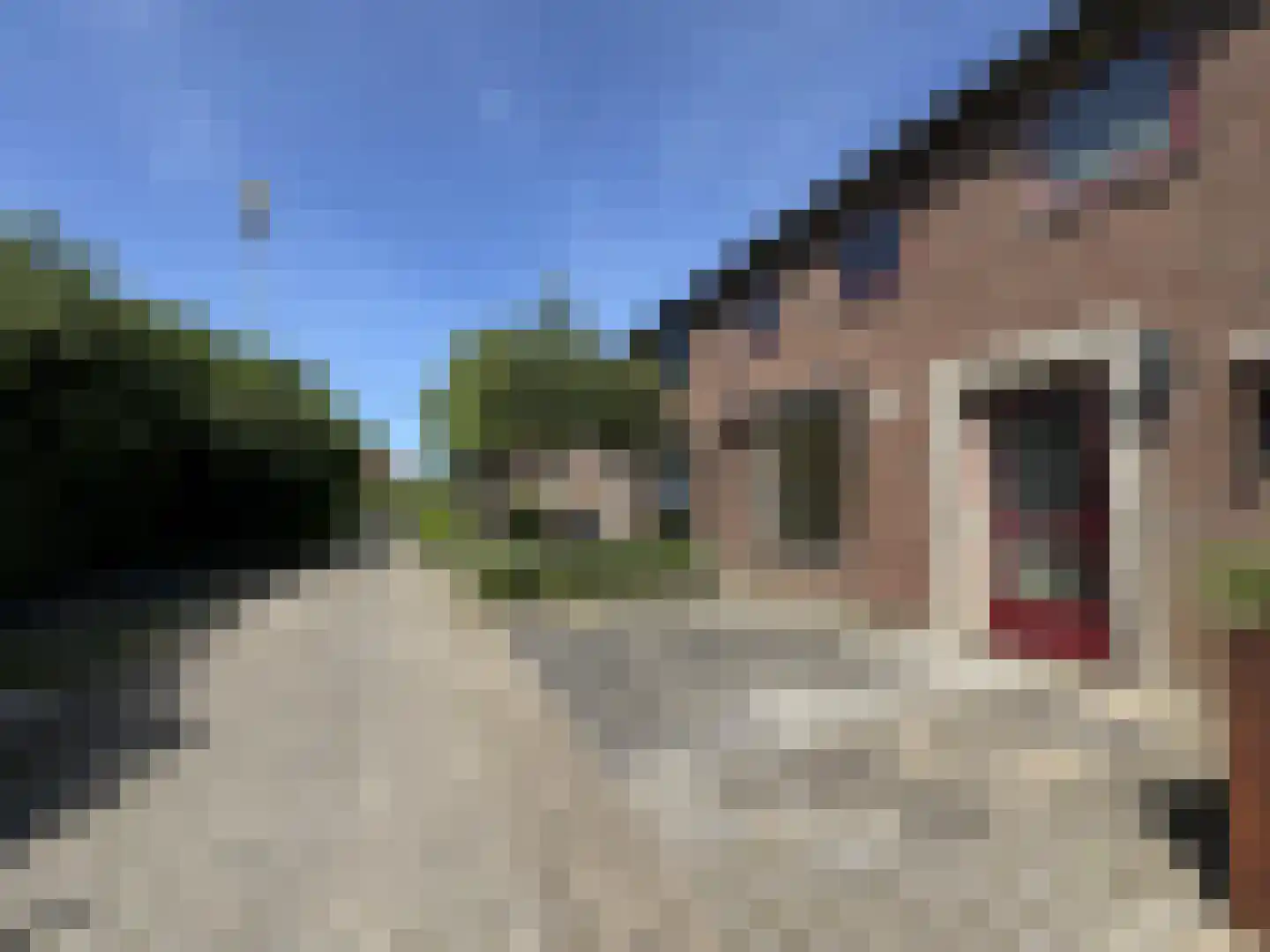 Hosterd 61 Puiflijk thumbnail 27