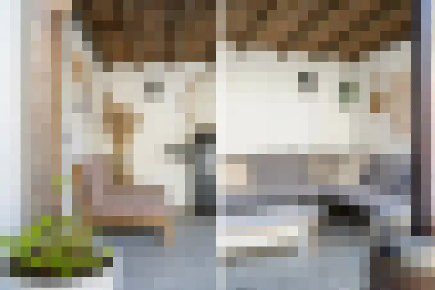 Hottingastraat 12 Franeker thumbnail 18