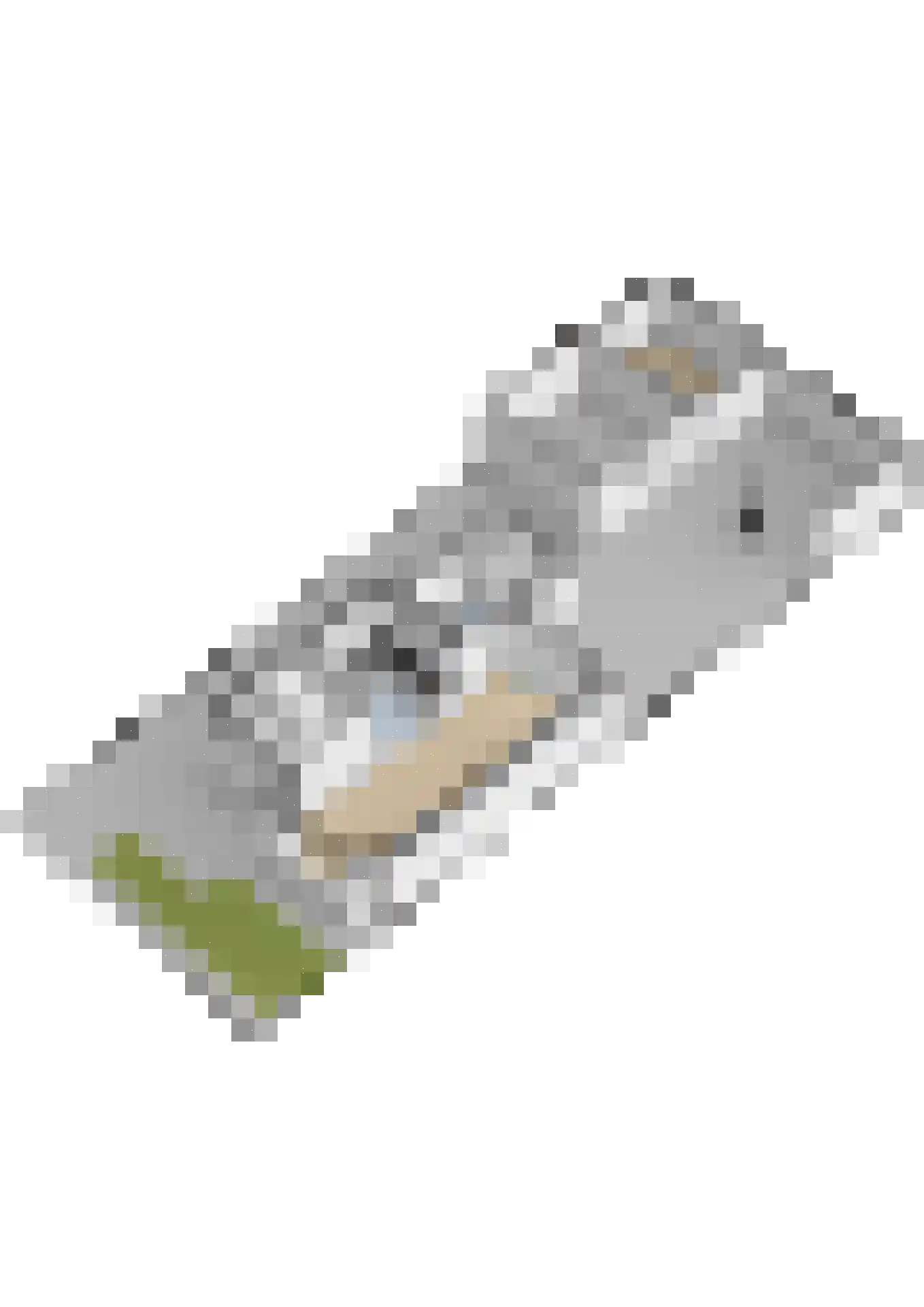 Hottingastraat 12 Franeker thumbnail 41