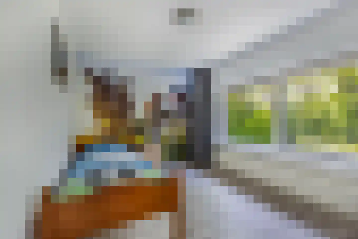 Hottingastraat 17 Franeker thumbnail 28