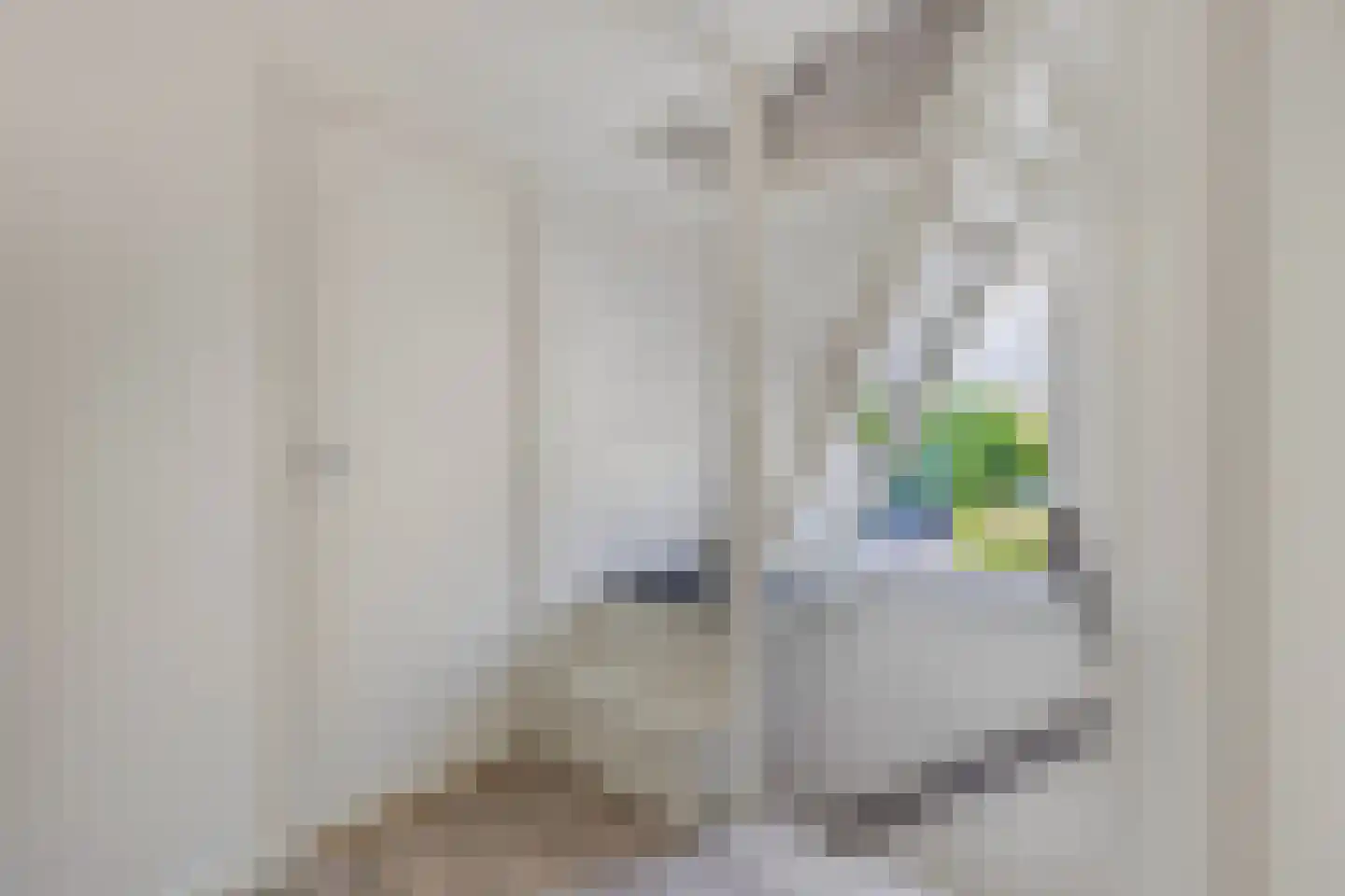 Hottingastraat 17 Franeker thumbnail 31
