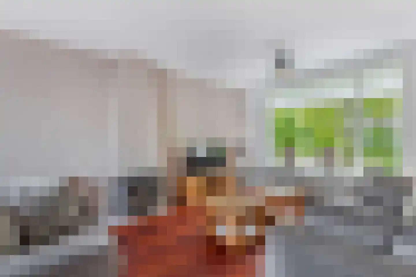 Hottingastraat 17 Franeker thumbnail 9
