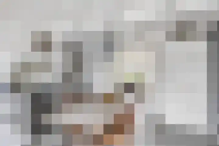 Hottingawei 14 Nijland thumbnail 12