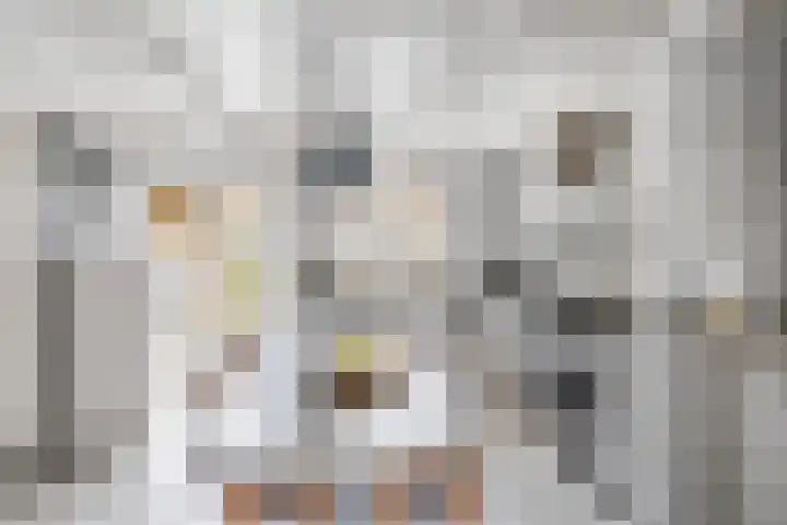 Hottingawei 14 Nijland thumbnail 13