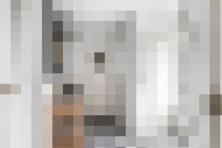 Hottingawei 14 Nijland thumbnail 16
