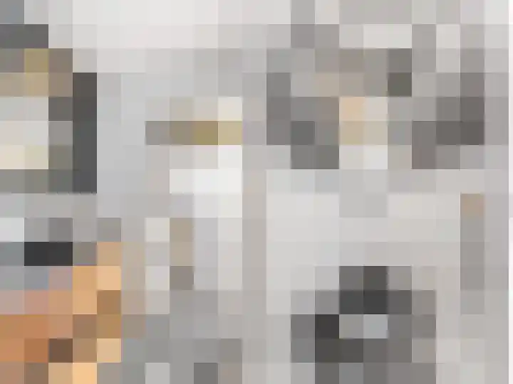 Hottingawei 14 Nijland thumbnail 17