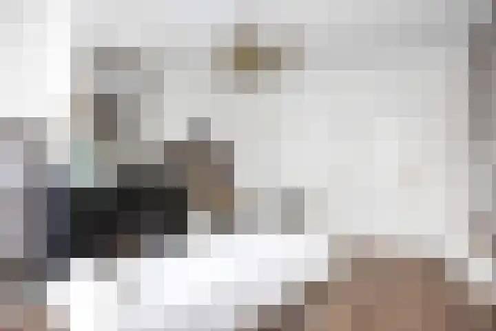Hottingawei 14 Nijland thumbnail 20