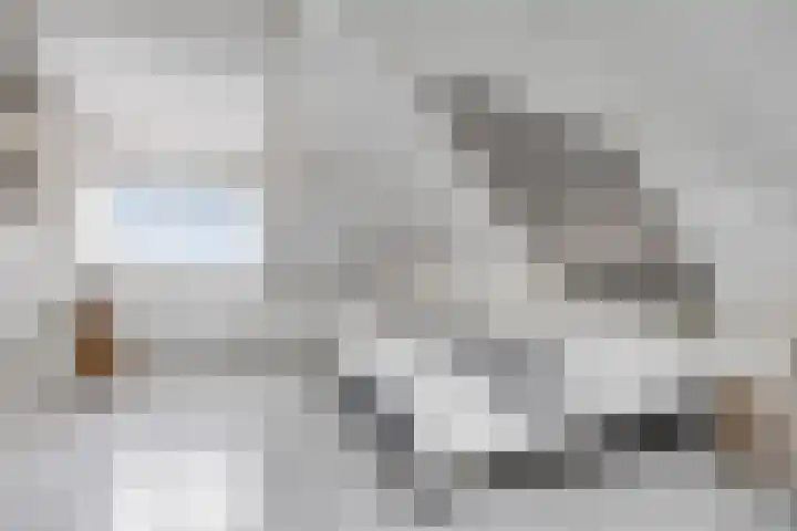 Hottingawei 14 Nijland thumbnail 23