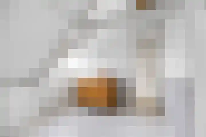 Hottingawei 14 Nijland thumbnail 25