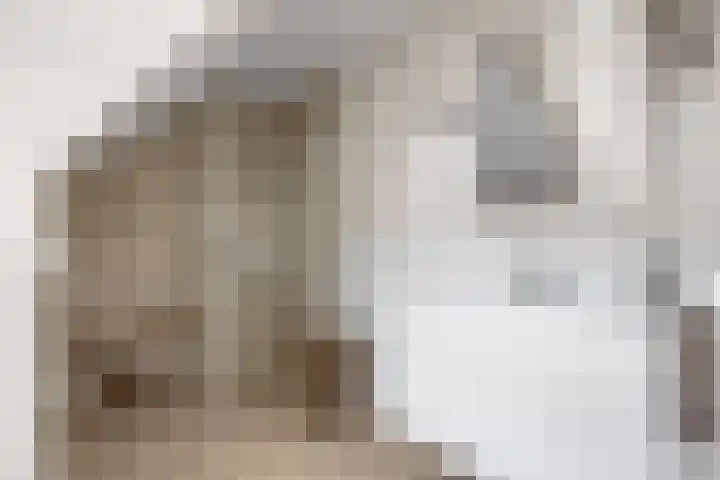 Hottingawei 14 Nijland thumbnail 27