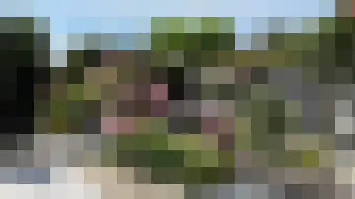 Hottingawei 14 Nijland thumbnail 40