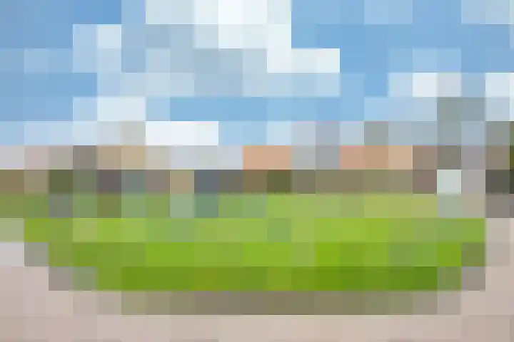 Hottingawei 14 Nijland thumbnail 42