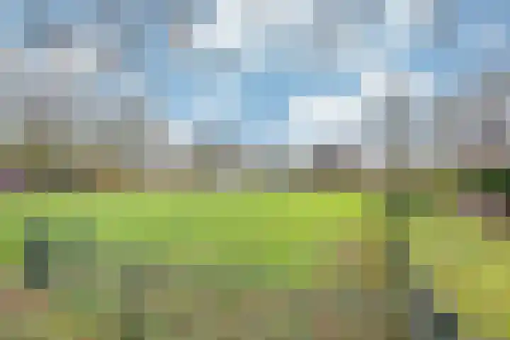 Hottingawei 14 Nijland thumbnail 43