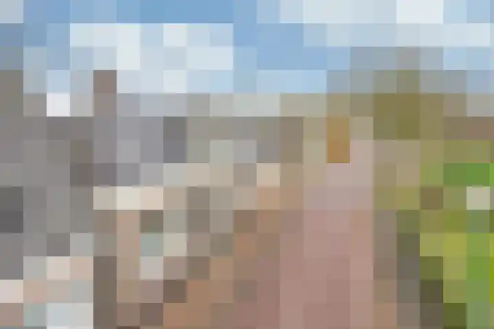 Hottingawei 14 Nijland thumbnail 48