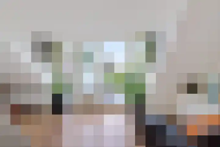 Hottingawei 16 Nijland thumbnail 15