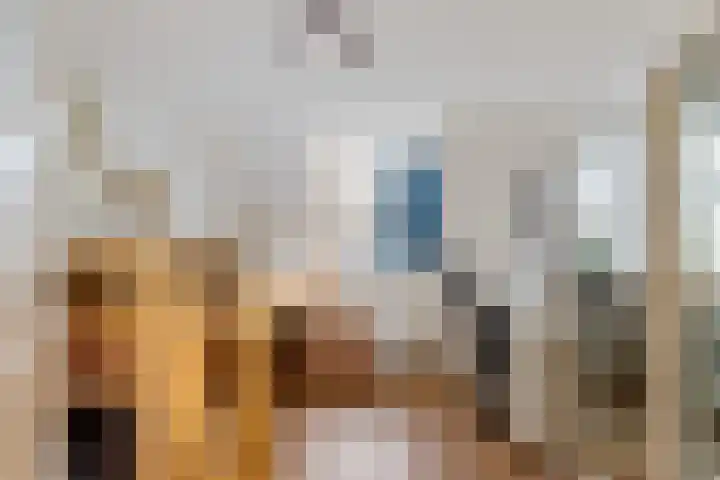 Hottingawei 16 Nijland thumbnail 18