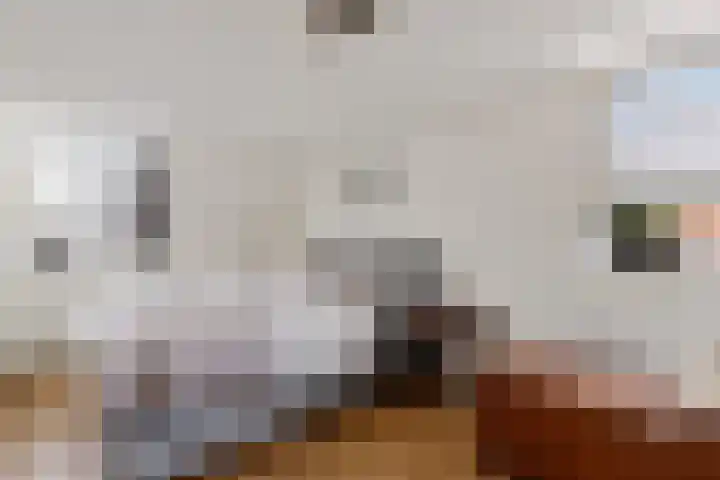 Hottingawei 16 Nijland thumbnail 20