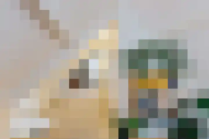 Hottingawei 16 Nijland thumbnail 27