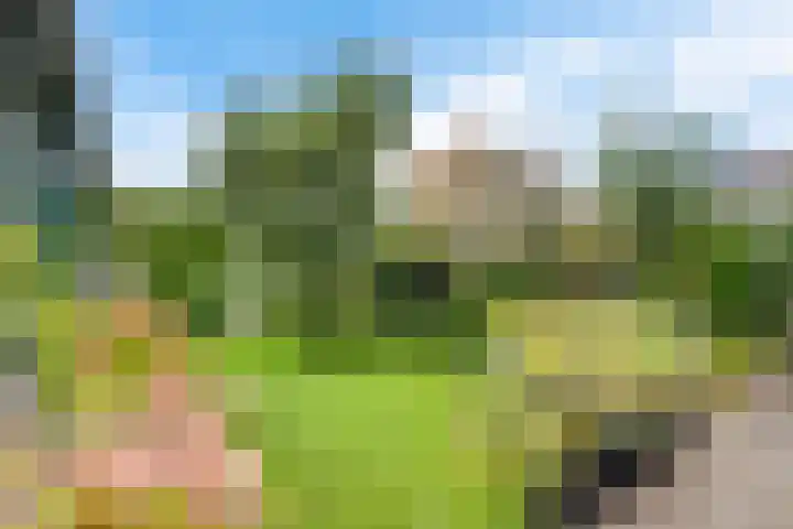 Hottingawei 16 Nijland thumbnail 30