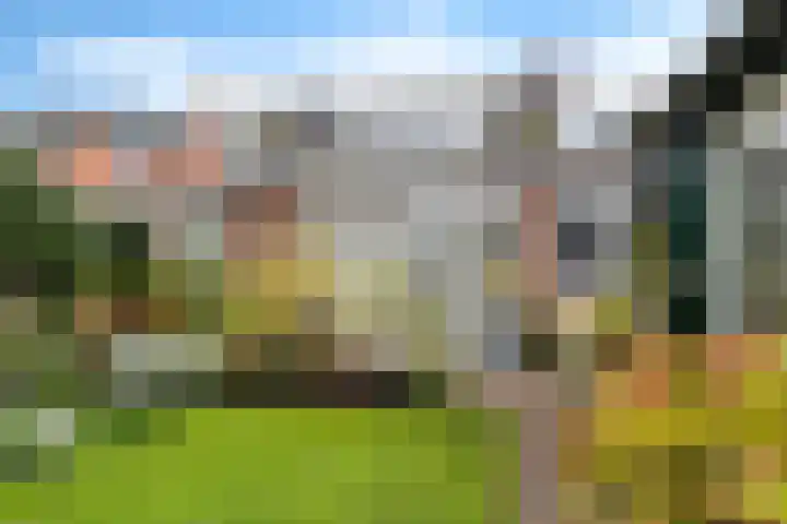 Hottingawei 16 Nijland thumbnail 31