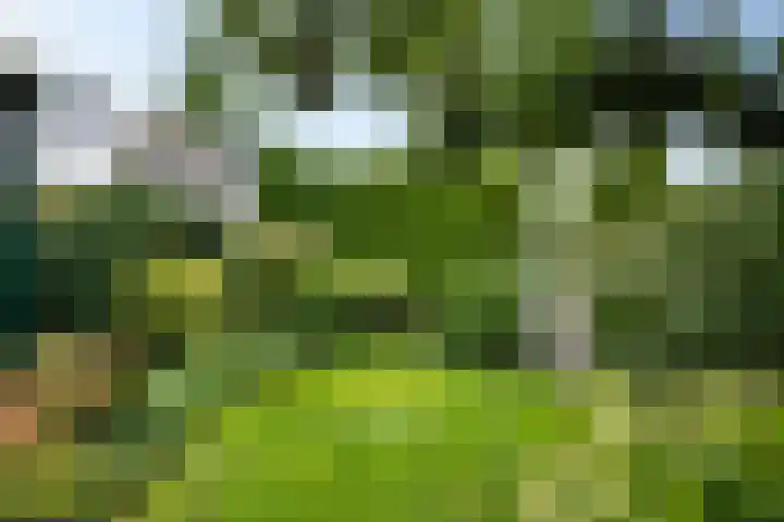 Hottingawei 16 Nijland thumbnail 32