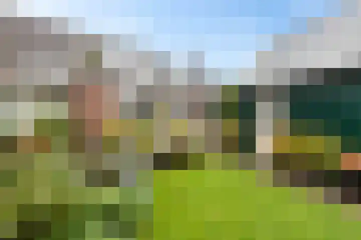 Hottingawei 16 Nijland thumbnail 33