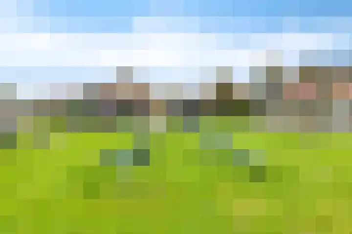 Hottingawei 16 Nijland thumbnail 34