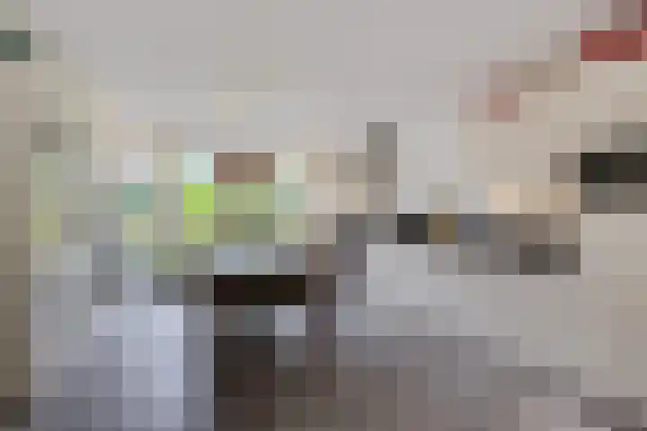 Hottingawei 16 Nijland thumbnail 4