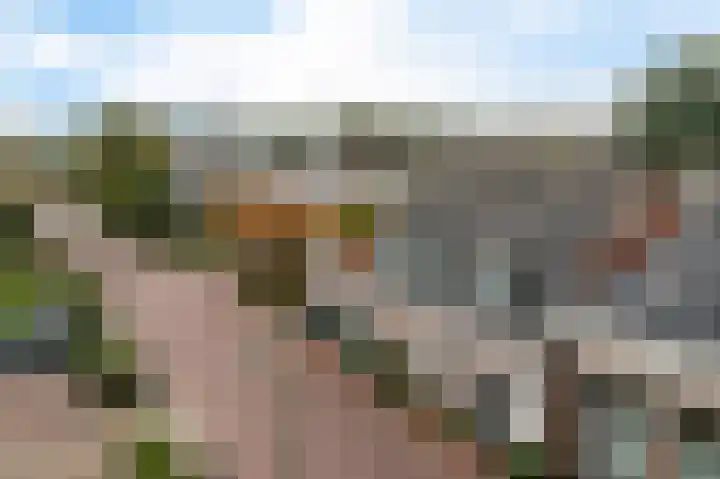Hottingawei 16 Nijland thumbnail 45