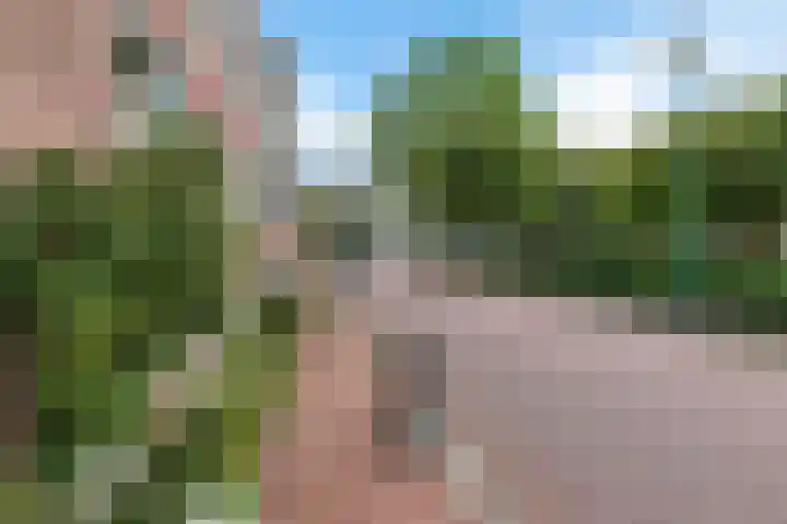 Hottingawei 16 Nijland thumbnail 49