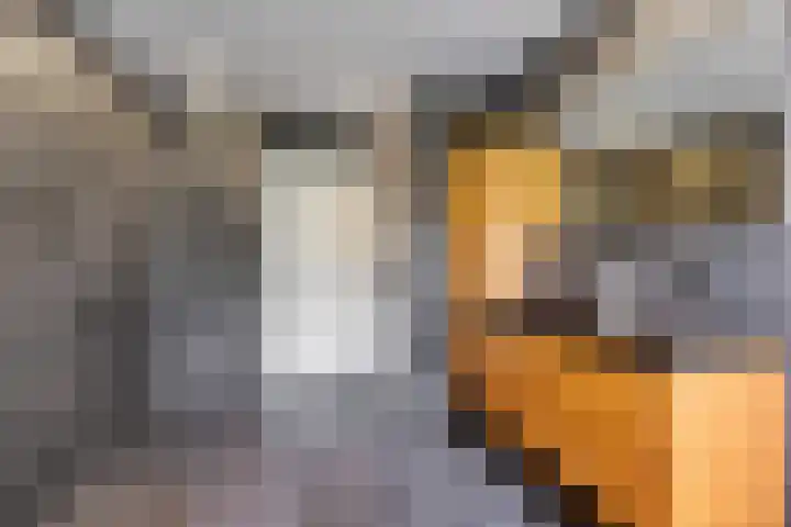Hottingawei 16 Nijland thumbnail 5