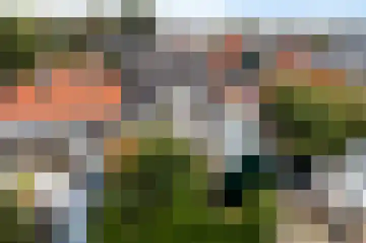 Hottingawei 16 Nijland thumbnail 53