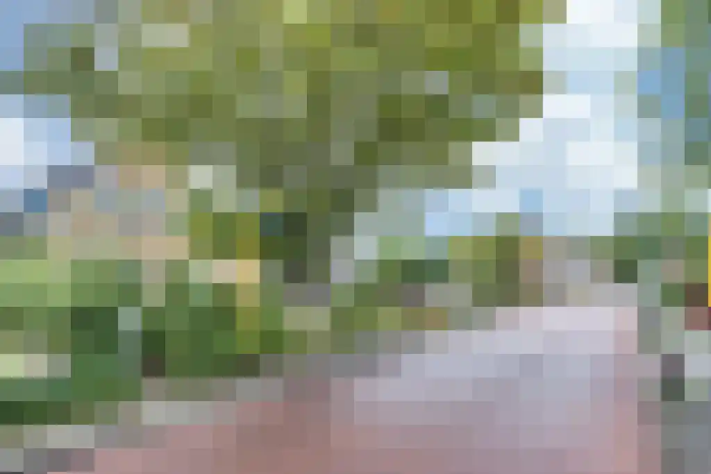 Hottingawei 20 Nijland thumbnail 29