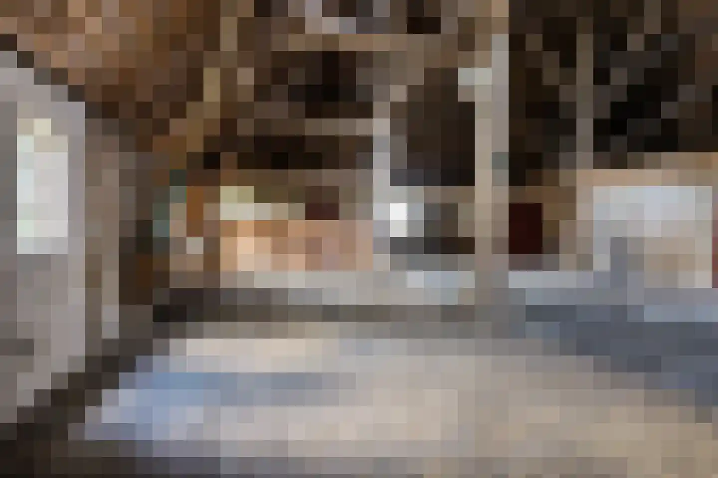 Hottingawei 32 Wommels thumbnail 28
